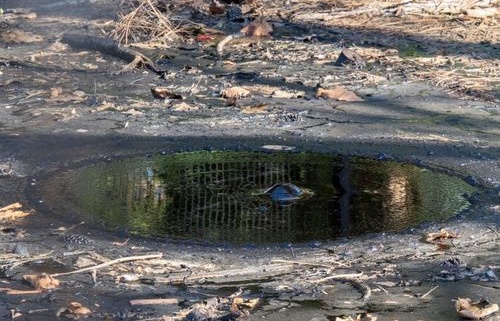 Dakrenovatie in Gelderland — vakkundige uitvoering